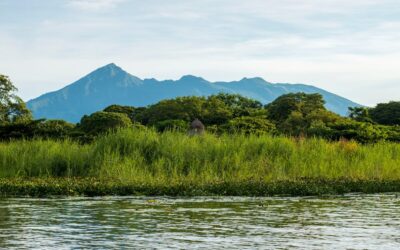 Ácido Hialurónico Granada: El Secreto para una Piel Radiante y Rejuvenecida